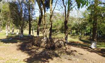 Imagem 7: Chácara a venda em Torrinha/Brotas - 1500 mts do Centro cidade