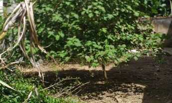 Imagem 2: Lote Bairro Cidade Nova. CÓD. L073. 193 m², Desmenbrado e Registrado. Valor 150 mil