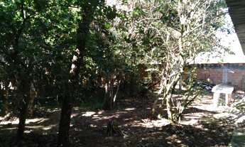 Imagem 5: Terreno Magarça - Murado