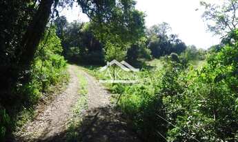 Imagem 6: Área de terras para moradia em Picada Café na serra gaúcha