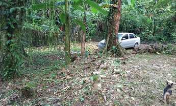 Imagem 7: Terreno em Camburi