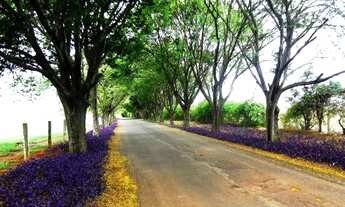 Imagem 7: Terreno - Haras Patente - Monte Alegre do Sul