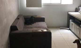 Imagem 3: APARTAMENTO NOSSA SENHORA DO SOCORRO COND VIVENDAS TROPICAL NO SÃO BRAZ