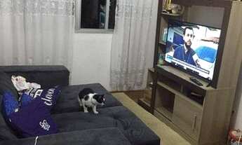 Imagem 4: Apartamento com 2 dormitórios à venda, 47 m² por R$ 140.000,00 - Cidade Industrial - Curit