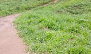 Imagem 4: Vendo Sítio Proximo Setubinha MG