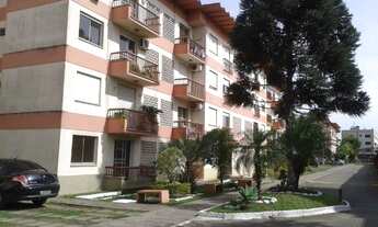 Imagem 5: Belo apartamento 1 dorm - Cond Porto Rico
