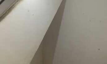 Imagem 7: Aluga-se casa em Costa Barros