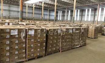 Imagem 5: Galpão - Vila Boa Vista - Campinas