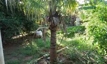 Imagem 5: VENDO CHÁCARA Casa com 2 dormitórios