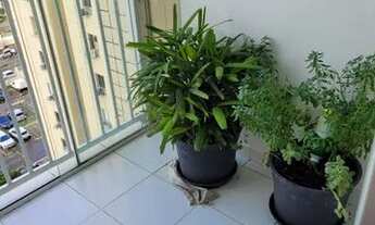 Imagem 4: Apartamento para venda tem 74m² quadrados com 3 quartos em Altos do Calhau - São Luís - MA