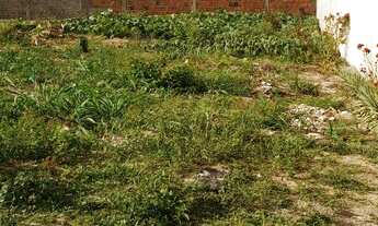 Imagem: Terreno lote Flores do Campo - Jardins