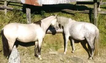 Imagem 3: Sítio em São José do Barreiro SP