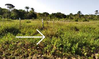 Imagem 6: Terreno na ilha de Itaparica ( berlinque