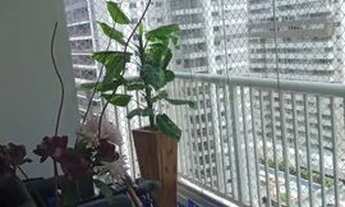 Imagem: São Paulo - Apartamento Padrão - Tatuapé