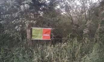 Imagem 4: Área a venda Campo Novo- Campo Magro