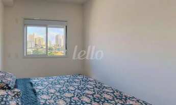 Imagem 5: São Paulo - Apartamento Padrão - Cambuci