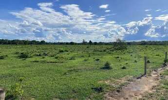 Imagem 5: Fazenda 420 Alqueires ou 2.032,80 hectares
