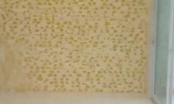 Imagem 5: ARNIQUEIRA: TOP D LINHA 4STS, PISC/CHURSQ, 415M2, EXC COND.LOCALIZ (QUITD.TERRACAP) IMOVEL