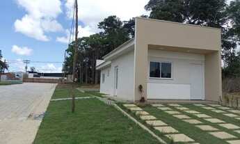 Imagem 3: Jardim dos Anturios / Tarumã - Manaus 9 8 1 0 6 3 2 3 1