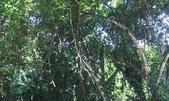 Imagem 2: TERRENO COM 503M² EM ITAMAMBUCA