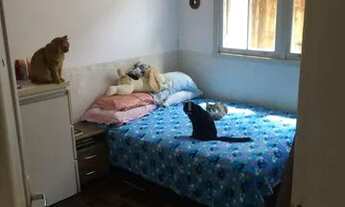 Imagem 4: Apartamento em Bom Jesus