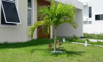 Imagem 2: Terras Alphaville 2