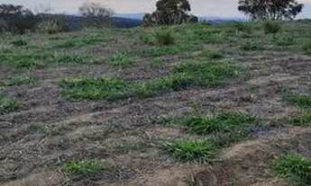 Imagem 5: Lote/Terreno para venda tem 500 metros quadrados em Centro - Atibaia - SP