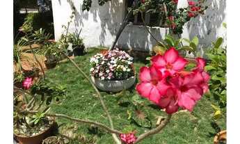 Imagem: Casa em Pirangi do Norte ideal para grupos