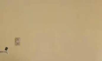 Imagem 7: Alugo Apartamentos em Periperi - 350 reais