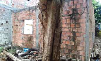 Imagem 6: SOMENTE VENDTARRENO COM ESTRUTURA DE ALVENARIA