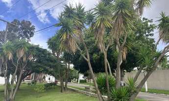 Imagem 4: Terreno Caminho do Parque - Vitória da Conquista - BA