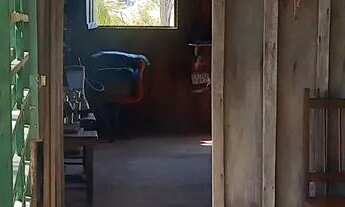 Imagem 3: Sítio Bacana Chácara com venda por R$60.000