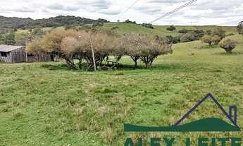 Imagem 5: Atenção leia todo anúncio.Vende-se lindo sítio de 24 Hectares na cidade de Piratini/RS