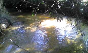 Imagem 6: Sítio abaixo valor excelente oportunidade