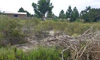Imagem: Terreno 300m2 em local urbanizado - Nova