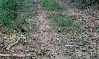 Imagem 4: Venda Terreno / lote com venda com preço sob consulta