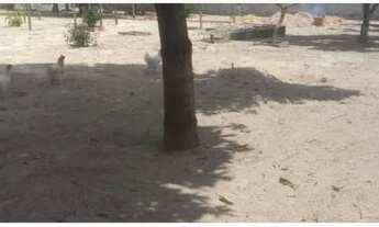 Imagem 4: Vendo sitio situado: <br><br>BR 101, Limoeiro Zona Rural de Alagoinhas-ba.<