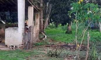 Imagem: Casa no povoado Aroeiras- Ilha das flores