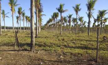 Imagem: Vendo propriedade em Quissamã 160 mil