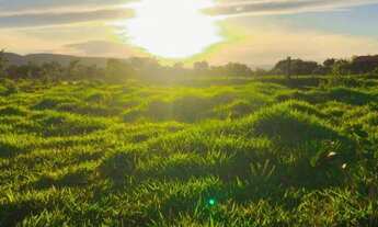 Imagem 3: Fazenda 227ha em Claro dos Poções