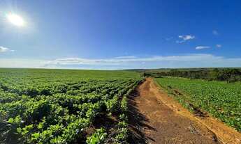 Imagem 5: Fazenda próximo Coromande