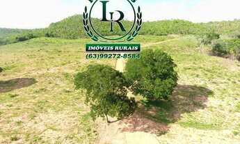 Imagem 2: Fazenda Oportunidade 127 Alqueires Próximo a Palmas