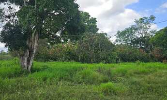 Imagem 5: Vendo excelente sítio fins comerciais em laje