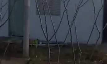 Imagem: Terreno 2.000m2