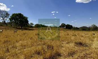 Imagem 3: Fazenda de 30 alq em Cedrolina-GO