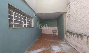 Imagem 7: Casa 2 quartos para alugar no(a) Vila Nivi