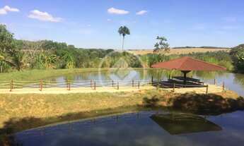 Imagem 3: HARAS EM ANAPOLIS codigo: 123968