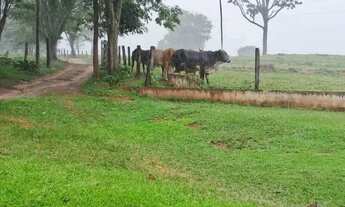 Imagem 3: CHÁCARA GUAPÓ Casa com 5 dormitórios