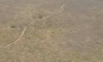 Imagem 7: Fazenda 883 h 100%plana 55 km do asfalto oportunidade