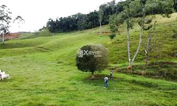 Imagem 4: Terreno 9,6 ha à Venda em Araguaia, Alfredo Chaves/ES